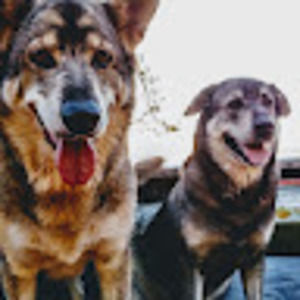 Meet your Posher, Jolene